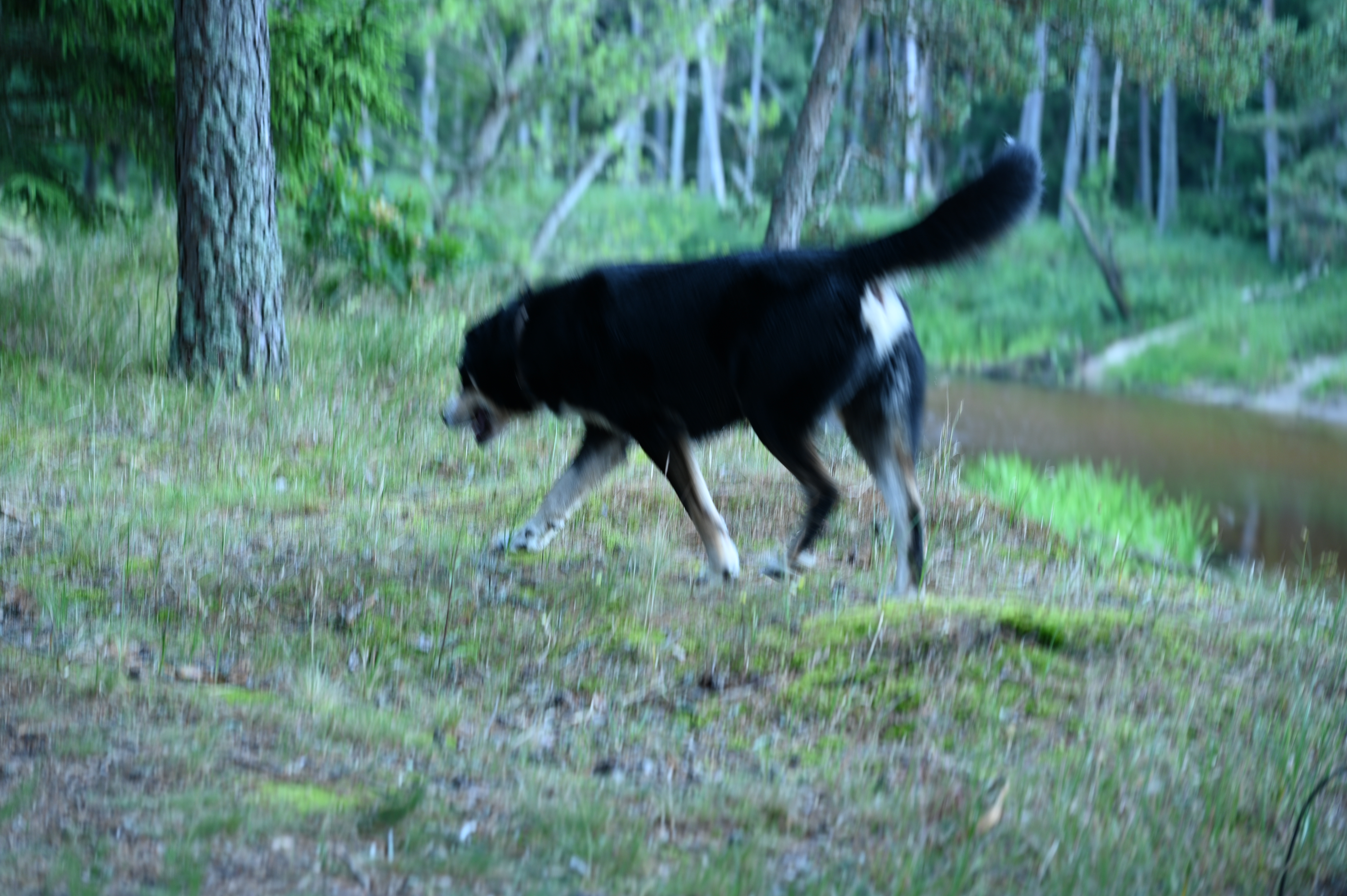 2025/07/09-14 - trip/DSC_0262.JPG